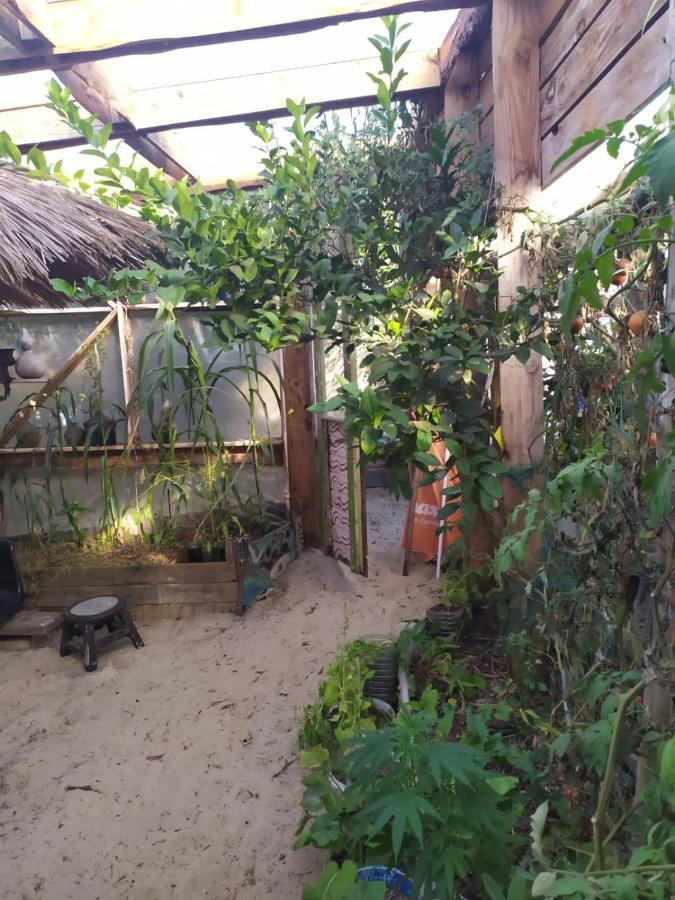 Casa Candombe Y Mar بارا دي فاليزاس المظهر الخارجي الصورة