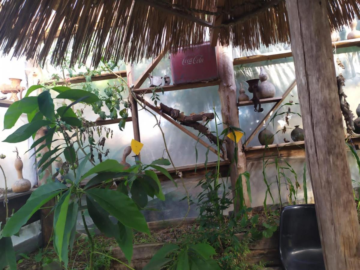 Casa Candombe Y Mar بارا دي فاليزاس المظهر الخارجي الصورة